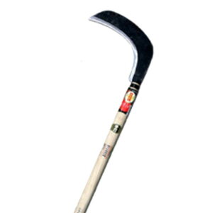 y^ n ъ 撷^ 240mm H-124-5    L zEl~L OyD