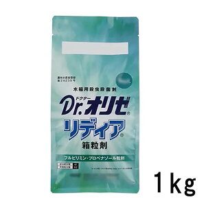 p EEۍ Dr. I[fBA  1kg _ E Eۍ  | _  MMAG T D