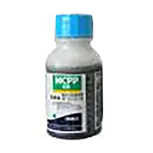 60{ Őp MCPPt 100ml XMi N[o[ G ̏ Ő m { ۘaoCIP~J yYD