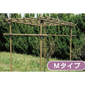 ʎI t[cp[S M^Cv ϐ x ƒ؉ ͔| ʕ Ԃǂ w`}  鐫A TT lzs s