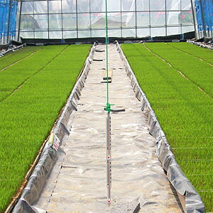 �y100%�|�C���g�o�b�N �G���g���[�����I2/25�܂Łz�v�[����c�p PO�t�B���� �g�[�J�� ���U�{�A ����0.15mm ��360cm �_PO ���w PO�t�B���� �ϊ��� ��㣋��Y �J�{ �l��z���s�� ����s��