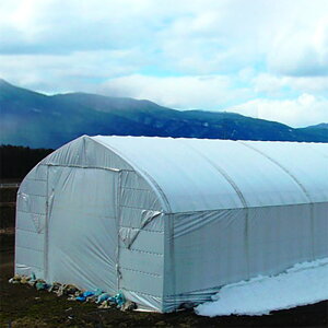 _POtB g[J t[[t zCg 85Ռ 0.15mm 1140cm _PO w tB Ԍ { 㣋Y J{ lzs s