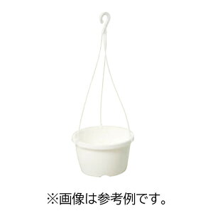 q̂ THq 6 #1172 1000  zCg ݂蔫V[Y vX`bN|bg |  a s