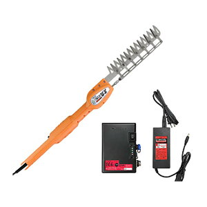 ۃoJS [d 7n obe[[dt N-973  oJ jVKLH OyD