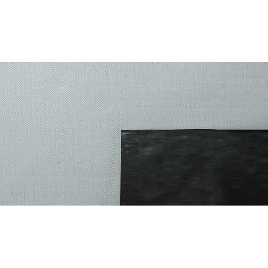 �y5/31�܂ŃG���g���[�ōő�100%P�o�b�N�z�n�E�X������J�[�e�� �e���G�[�X �u���b�NW 3.0m×30m �Ռ�����99.9�� �n�E�X����p �������� �Ռ� �_�C���e�b�N�X �TT �k�C���s�� ����s��