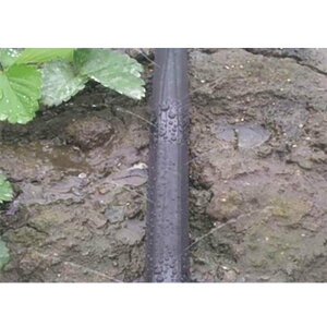 P.E 󐅃`[u   [U[ 0.2mm×50mm×200m sb`20cm Ea0.8mm 5  U  _  J~vX TT lzs s