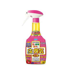 t}L[ J_vXDX 450ml 20{ |p E Eۍ Q΍ J lzs s