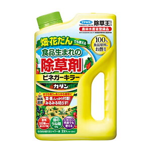 t}L[ J_ V[Y rlK[L[ 2L 8{    Ԓd | J lzs s