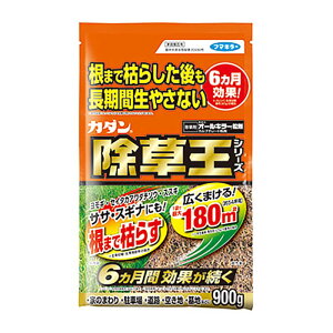 t}L[ J_ V[Y I[L[ 900g 12{    Ԓd | J lzs s