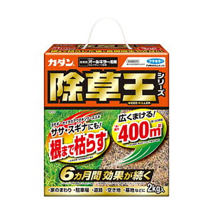 t}L[ J_ V[Y I[L[ 2kg 8{    Ԓd | J lzs s