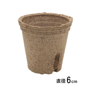 ̂܂ܐAGR|bg WtB[|bg ی^ 6cm 3000 #122 ܂ c Seed fun TJ^̃^l s