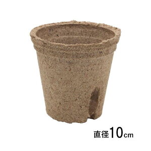 ̂܂ܐAGR|bg WtB[|bg ی^ 10cm 1000 #335 ܂ c Seed fun TJ^̃^l s