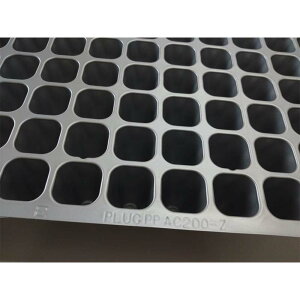 100�� �v���O�g���[ �� 200�� Z ���u�Ȃ� 300×589mm �|���v���s���� ���Y �S�_�^�C�v ��c�g���[ �A���h�E�P�~�J�� �TT �l��z���s�� ����s��