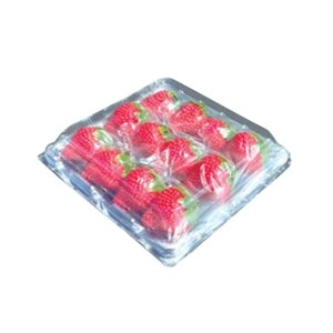 e 肩[ B^Cv 12 75 C`Se  g[ P[X t^t ΎY J{ lzs s