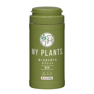 엿 MY PLANTS vɈĂ^ubg 170 36{ ZFw| ϗtA ^ubg엿 Vf lzs s