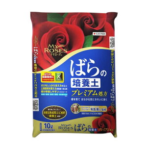 |{y }C[Y ΂̔|{y 10L 4 ZFw| o KN yǍ Vf lzs s