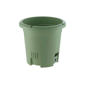 v^[ N ؉  36^ b`F 16 ʋ  | ƒ؉ K[fpi K[fjO Richell J lzs s