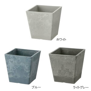 Aؔ {^j[ XNGA|bg 12^ b`F 40  ~j |bg v^[ | K[fjO K[fpi Richell J lzs s