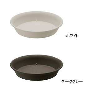 M GR v[g 6 b`F 80 M 󂯎M gC | K[fjO K[fpi Richell J lzs s