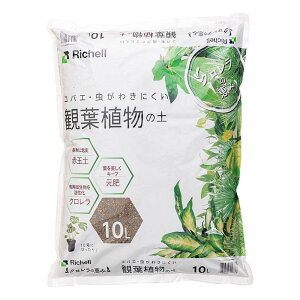 |{y ŇbR ϗtA̓y 10L b`F 5 y 엿 | ͔| K[fjO K[fpi Richell J lzs s