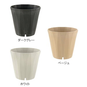 Aؔ sX |bg 20^ b`F 36  v^[ | K[fjO K[fpi Richell J lzs s