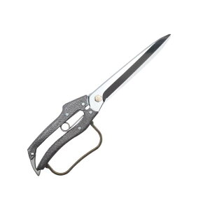 t v200 t 5n N-208    ͂ | K[fjO jVKLH OyD