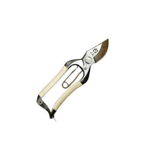 ΂ B^ 5C` ~ ي ݂⑺ TS033 | ͂  OyD