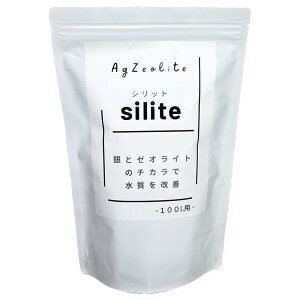 P silite Vbg 100Lp 1kg vʃXv[t  [ICg ؉ Green Walk T s