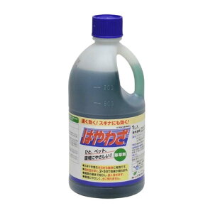  ͂킴 1L 12{ t _knp G΍ S s