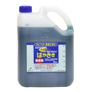  ͂₳ 5L 4{ t _knp G΍ S s