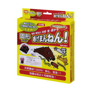 Qb ܂˂I Ō`^Cv 16 20 }cg     O wr L Jf n` Qb΍ J s