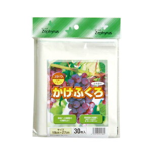 ʎ ӂ uhEp ~ߋt 30 100pbN }cg ʎ ʕ ی  | _ ʎ J s