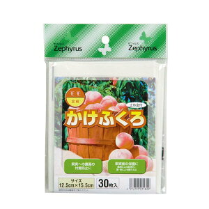 ʎ ӂ p ~ߋt 30 100pbN }cg  ʎ ʕ ی  | _ ʎ J s