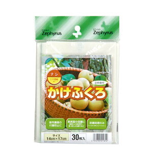 ʎ ӂ iVp ~ߋt 30 100pbN }cg  ʎ ʕ ی  | _ ʎ J s