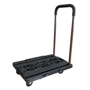  WCgL[ JC-100 4 }cg ^@ ^ ܂  _ | K[fjO J s