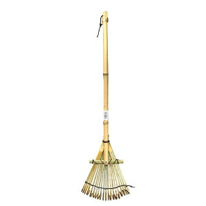 |܂  20{ 100{ }cg F ܂  | |  K[fjO | J s