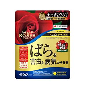 EEۍ xjJXK[h }C[Y 450g 24 KINCHO| ΂p E E  Q΍ h | K[fjO J s