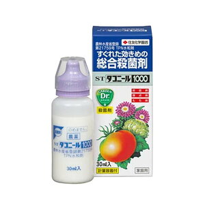 �y6/1�`�ő�100%P�o�b�N���I�ŗv�G���g���[�z�E�ۍ� ST�_�R�j�[��1000 30ml 60�{ KINCHO���| ���� �h�� ���| �ƒ�؉� �K�[�f�j���O �J�� �l��z���s�� ����s��