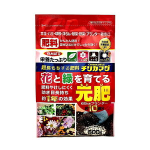�y6������I�ő�100%P�o�b�N���I�ŗv�G���g���[�z�엿 �ԂƗ΂���Ă錳�� 500g 30�� ���� �Ɍ����엿 ������ �� ��� �A�� �͔| ���}�g�R�[�|���[�V���� �gS ����s��