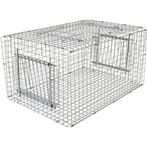 �y3/31�܂ŃG���g���[�ōő�100%P�o�b�N�z3�� �o�[�h�g���b�v RF1 E-01 �ߊl�� �h�o�g �n�g �͂� �a �G�T ���{�� �h�H�� T�� D