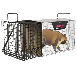 �y4/30�܂ŃG���g���[�ōő�100%P�o�b�N�zD type No.303 TN-3 �^�k�L ���ʂ� �K �k�[�g���A �ʁ[�Ƃ肠 �ߊl�� �ގ� ���� �Q�b�쏜 ���{�� �h�H�� T��D