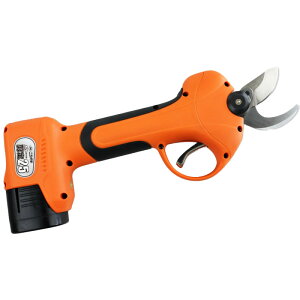 ۙ25 N-771 {̂̂ jVKLH ΂  } d ͂ obe[c ؒf{ tfBXvC OxD s