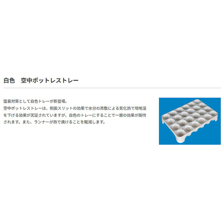 楽天市場】【7/1〜最大100%Pバック抽選で要エントリー】受注生産品 