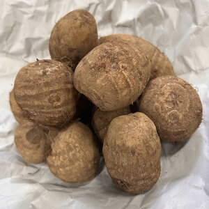 �y4/30�܂ŃG���g���[�ōő�100%P�o�b�N�z1kg �y�� ���I ���}M ��� ��q ��t���Y �ǂ��� �T�g�C�� ���� �͔|�p �gS DZ