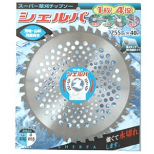 �y7/1�`�ő�100%P�o�b�N���I�ŗv�G���g���[�z30�� �V�F���p 255×40P 99079 �`�b�v�\�[ �r�n �R�� �͌� �y�� �y�� ���R�����H�Ə� �A�C�E�b�h H
