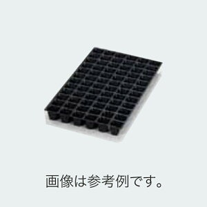 100 @Bp vOg[ TKg[ 72 300×590  #4205 43mm | vX`bNg[  a s