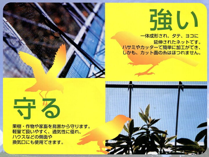 楽天市場】4本 バードネット 黒 OV1670 3m×100m 目合18mm×20mm コンウェッドネット タ種 代引不可 : 農業用品販売のプラスワイズ 楽天市場】4本 バードネット 黒 OV1670 3m×100m 目合18mm×20mm コンウェッドネット タ種 代引不可 : 農業用品販売のプラスワイズ