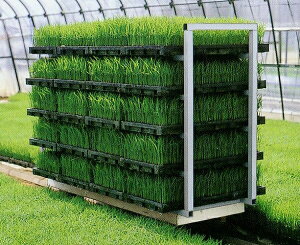 t[̂ gbR 60GA p gR20AL cop A~t[ zNGc IK s