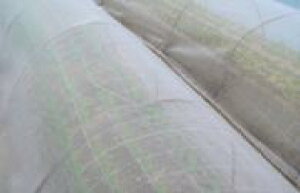 hlbg (ڍ1mm) 2.1×100m VN s