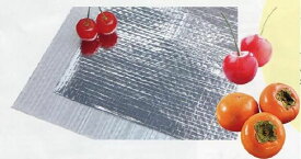 2本 ネオポリシャインクロスT87 有穴 さくらんぼ・柿用 0.1mm厚×1.8m×50m エーアイシーテック カ施 代引不可